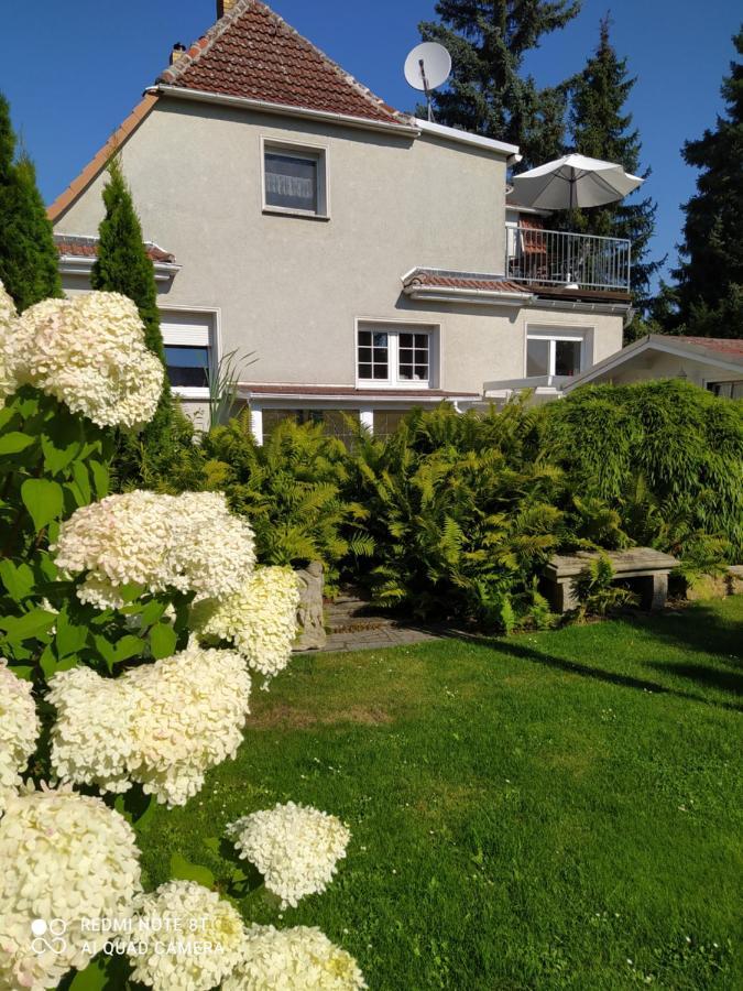 Kreativ Ferienwohnung Domizil Der Sinne Бад Либенверда Екстериор снимка