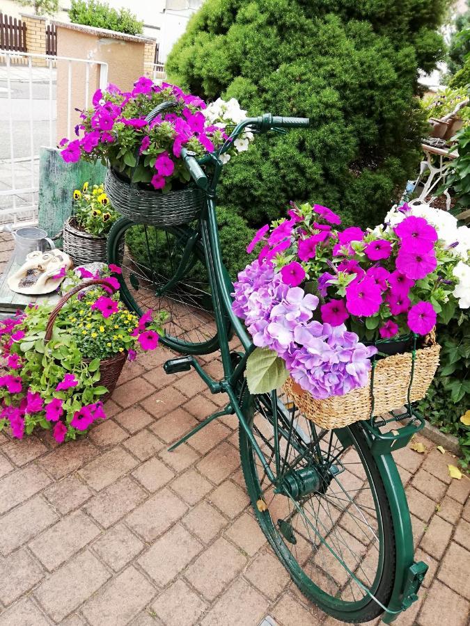 Kreativ Ferienwohnung Domizil Der Sinne Бад Либенверда Екстериор снимка